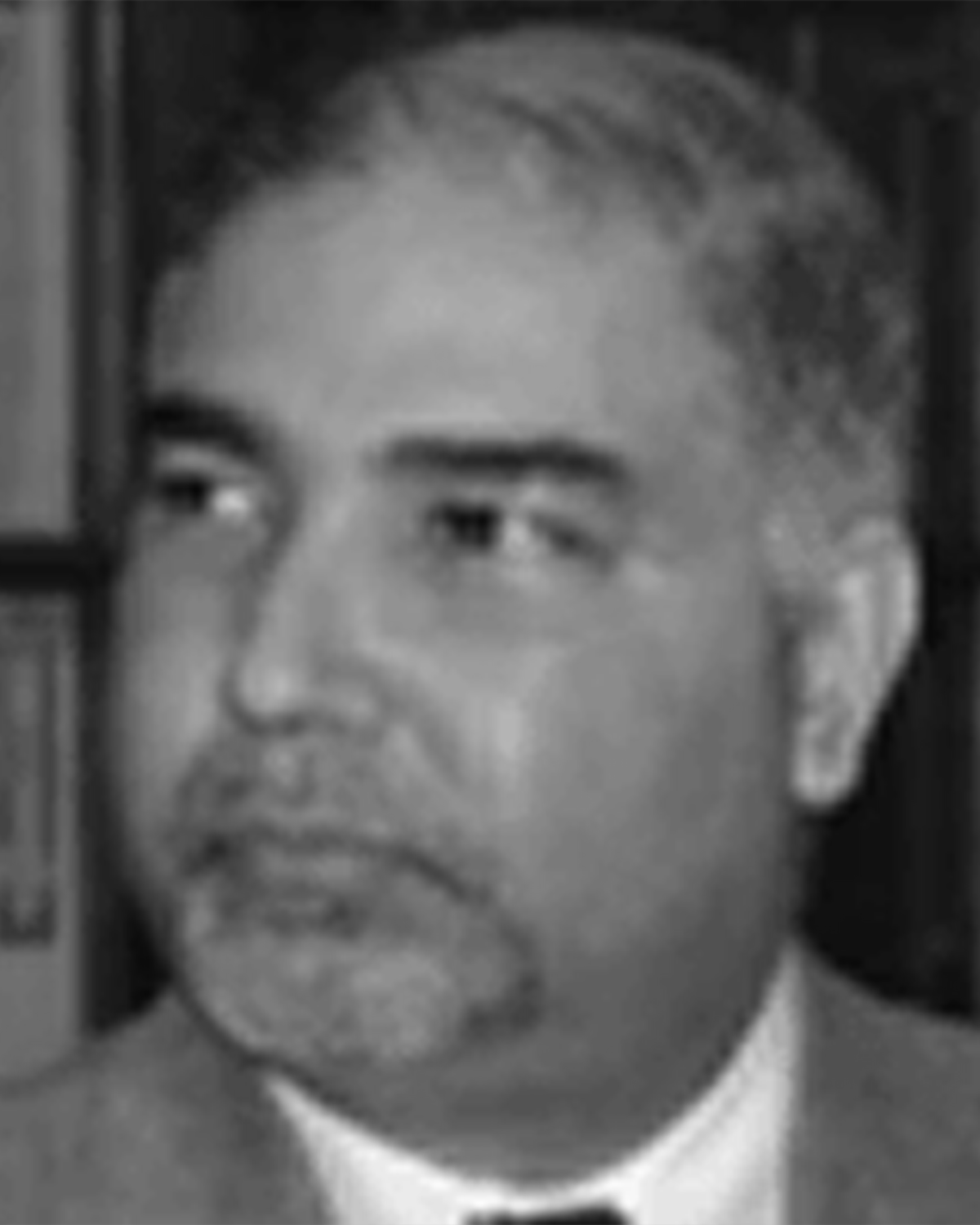 Past Presidents AAPIQLI